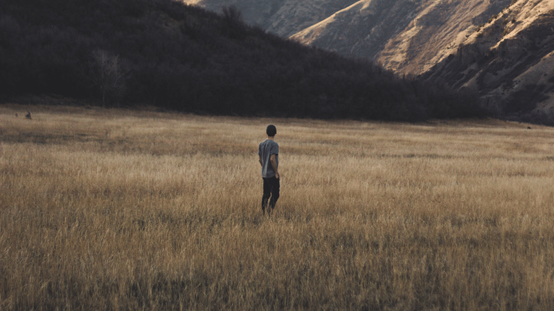 Uprooting Fear & Anxiety